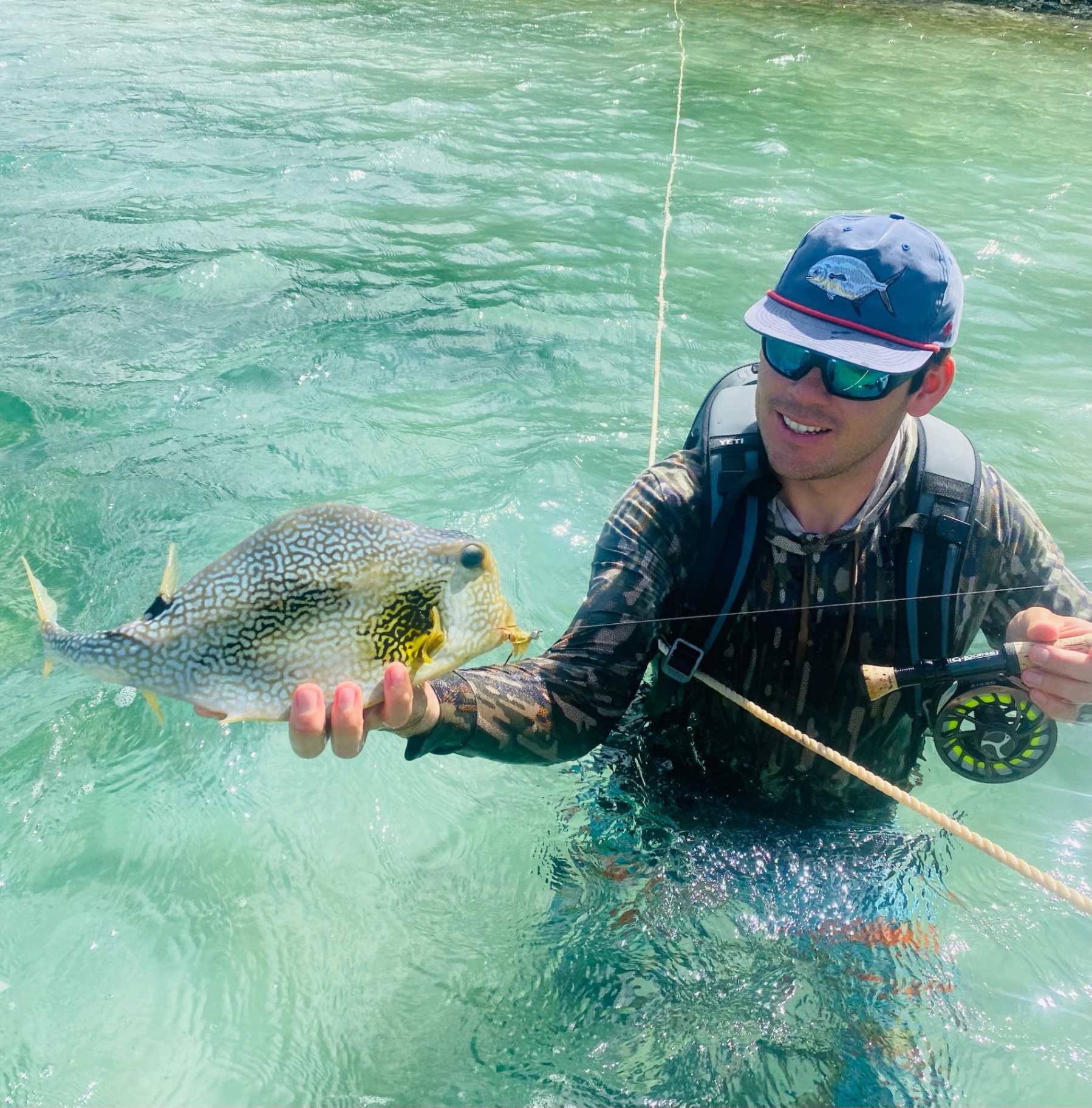 Triggerfish on Fly