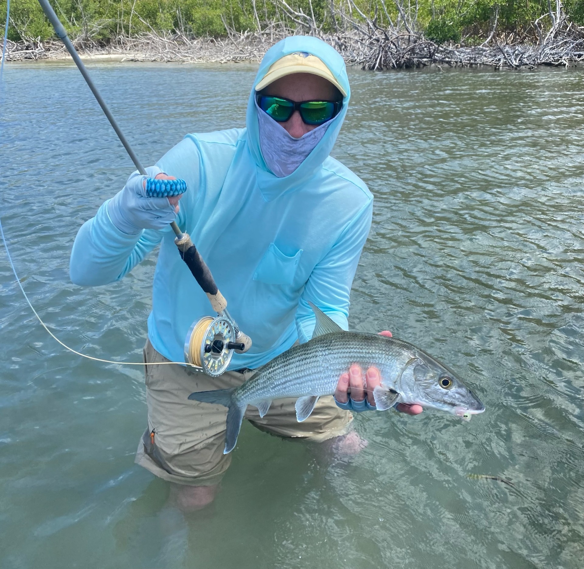 Bonefish in the Mangroves