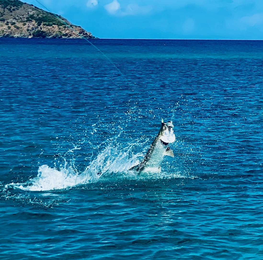 Tarpon Spray Shot